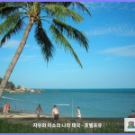 Mercure Koh Samui Beach Resort 꼬사무이 / 코사무이 대표 이미지