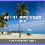 송클라 대표 이미지