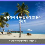 농카이 대표 이미지