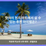 핫야이 대표 이미지