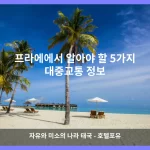 프라에 대표 이미지