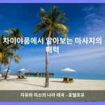 차이야품 대표 이미지