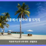 라용 대표 이미지