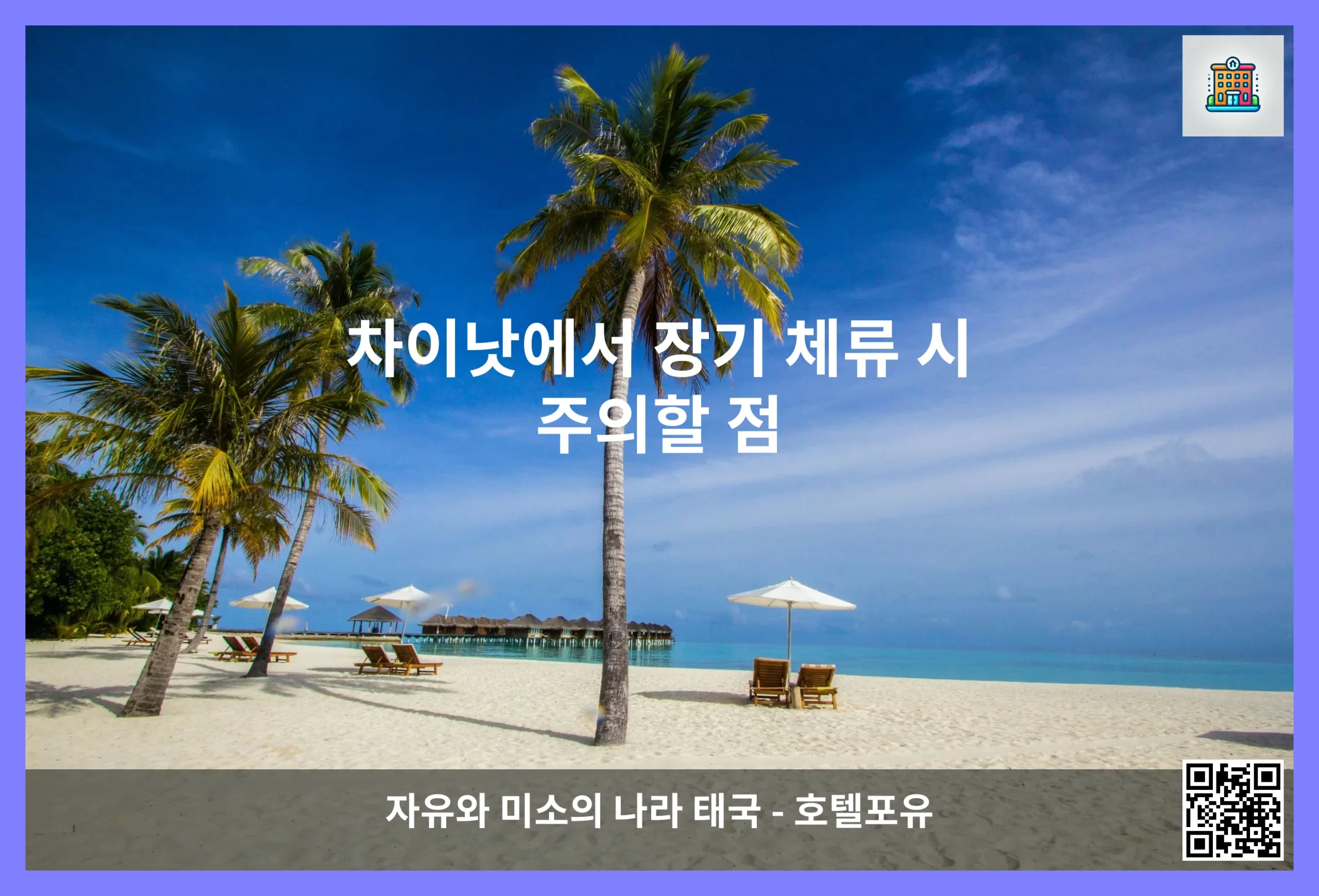 차이낫 대표 이미지