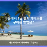 라용 대표 이미지