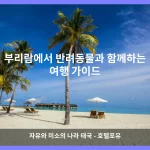부리람 대표 이미지