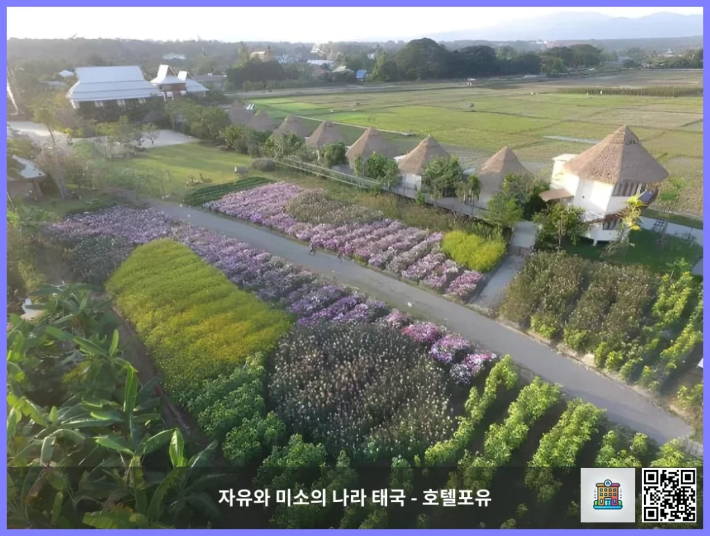 치앙마이 최고의 후기 숙소, 푸산파 리조트