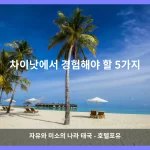 차이낫 대표 이미지