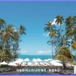 니키 비치 리조트 앤 스파 꼬사무이 / 코사무이 대표 이미지