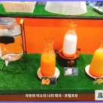 BB 만트라 호텔 치앙마이 대표 이미지
