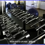 메이저 그랜드 호텔 춤패 대표 이미지