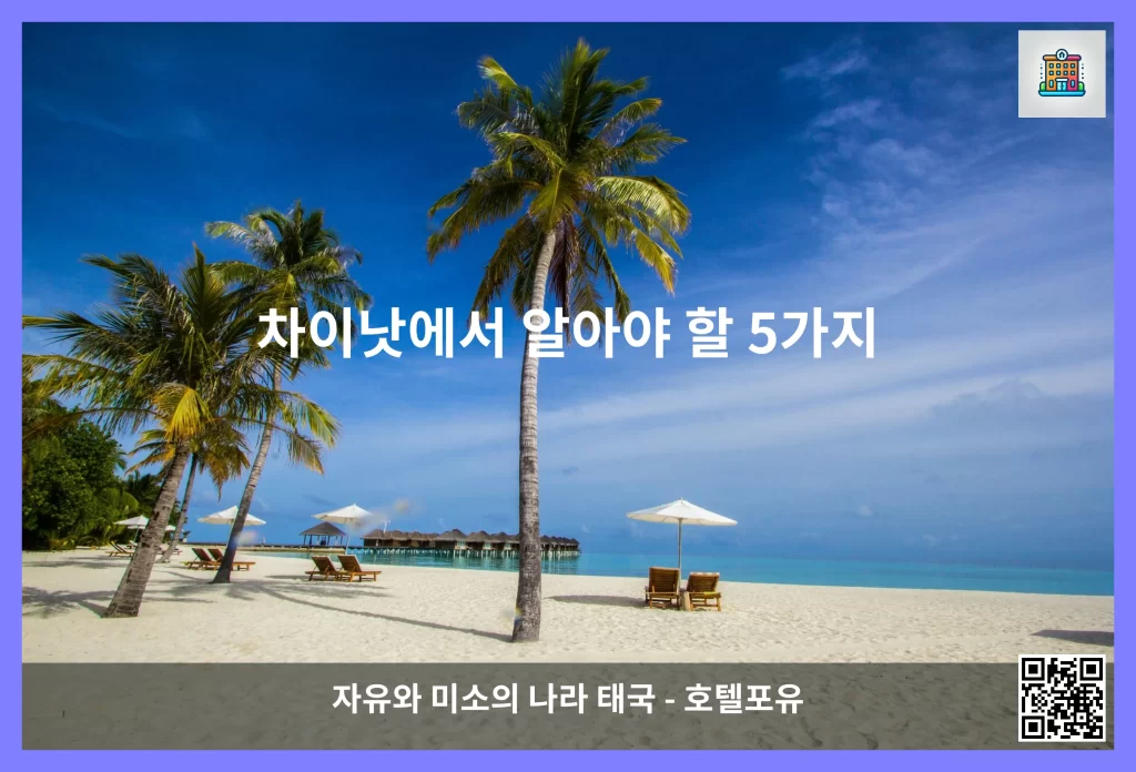 차이낫에서 알아야 할 5가지