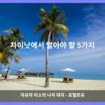 차이낫 대표 이미지