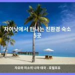 차이낫 대표 이미지