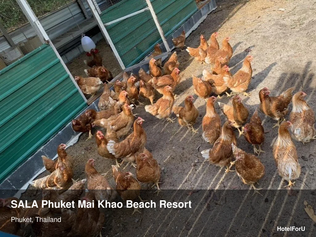 SALA Phuket Mai Khao — 5-star beach resort guide