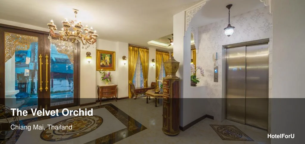 Velvet Orchid Chiang Mai: 3.5-Star Hotel Guide